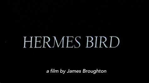 hermes bird 1979 full movie|‎Hermes Bird (1979) directed by James Broughton .